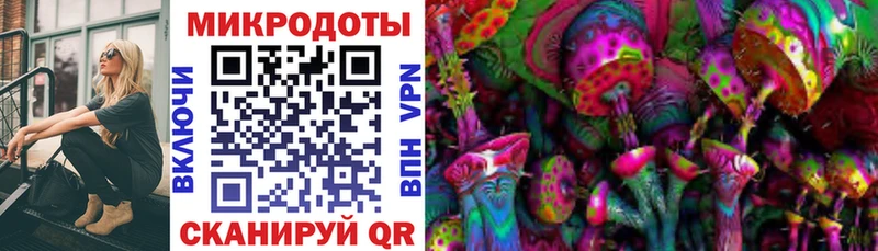 где найти наркотики  Ивангород  Псилоцибиновые грибы ЛСД 
