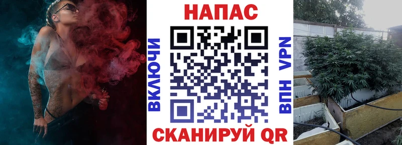 как найти   Ивангород  Канабис LSD WEED 